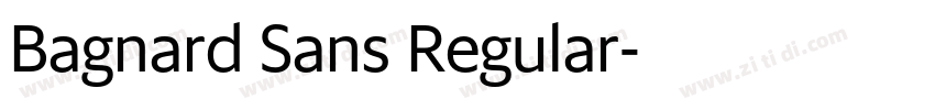 Bagnard Sans Regular字体转换